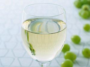 二进制在智能门锁中的指纹识别算法